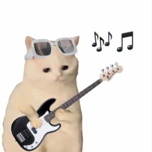 Meet your Posher, Rylee